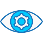 vision